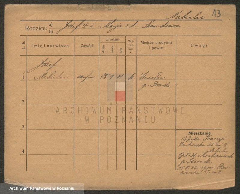 Obraz 13 z jednostki "Nabel - Nagel"