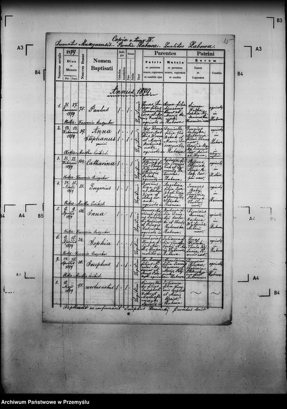 Obraz 19 z jednostki "[Kopie ksiąg metrykalnych parafii Łabowa z filiami Kotów, Łabowiec, Uhryń Niżny (dekanat Muszyna)]"