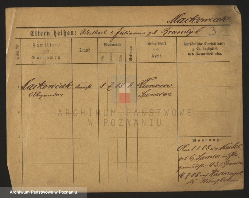 Obraz 5 z jednostki "Maćkowiak (samotni mężczyźni i kobiety)"