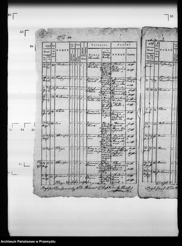 Obraz 6 z jednostki "[Kopie ksiąg metrykalnych parafii Zdynia z filiami Konieczna, Ług (dekanat Gorlice)]"