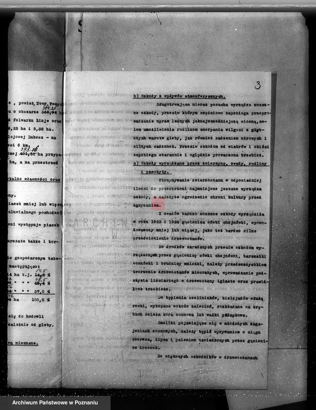 Obraz 9 z jednostki "Plan urządzenia gospodarstwa leśnego dla lasu majętności Lizie powiat nowotomyski"