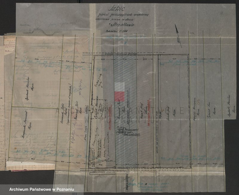 image.from.unit.number "Odrenowanie obozu jeńców w Strzałkowie"