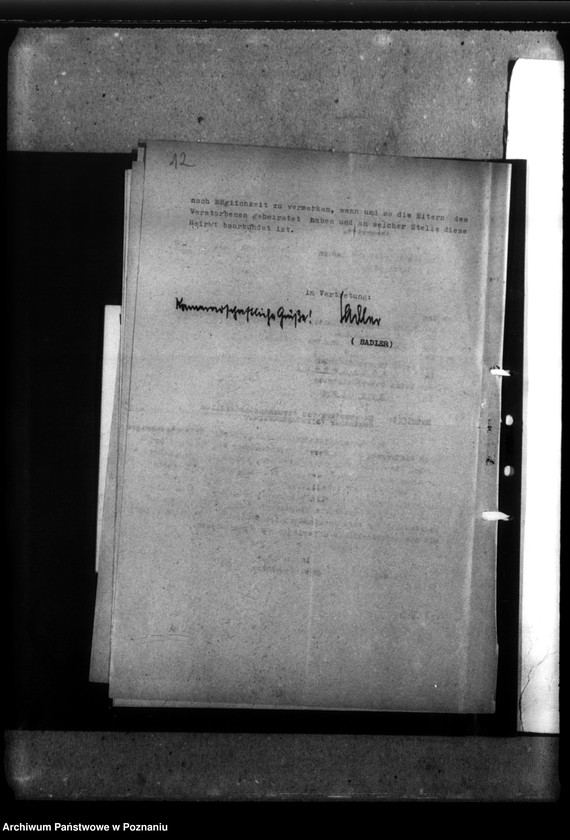 Obraz 16 z jednostki "Emil Hanz - Ritschenwalde, Kreis Obornik (Oborniki)"