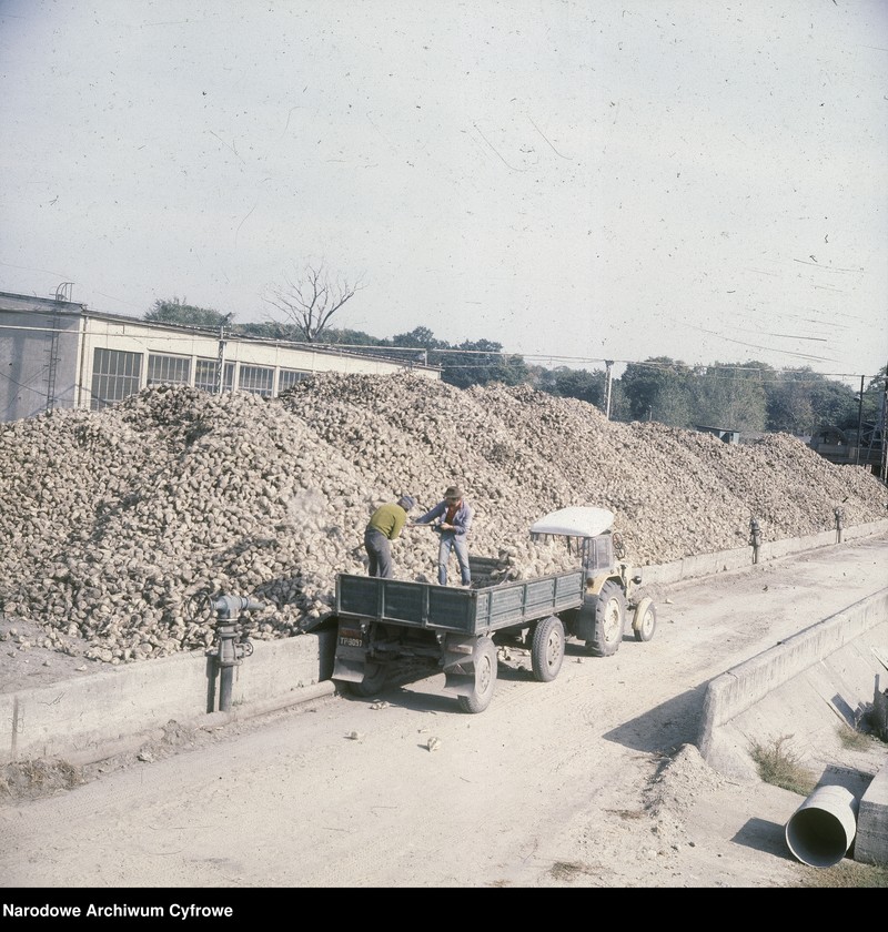 Obraz 11 z jednostki "Cukrownia "Michałów" w Lesznie koło Warszawy"