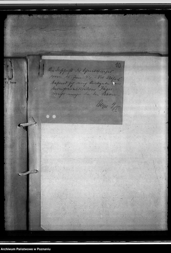 Obraz 14 z jednostki "Einfuhr von Tieren aus den besetzten Ostgebieten - auch der Schwarzmeerdeutschen"