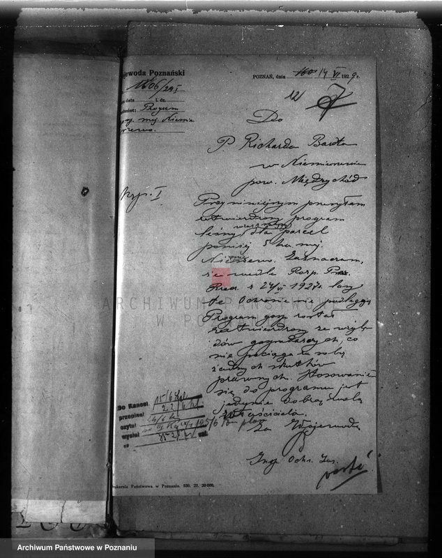 Obraz 16 z jednostki "Majętność leśna Niemierzewo w powiecie międzychodzkim"