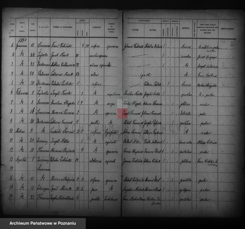 image.from.unit.number "Duplikat zmarłych"