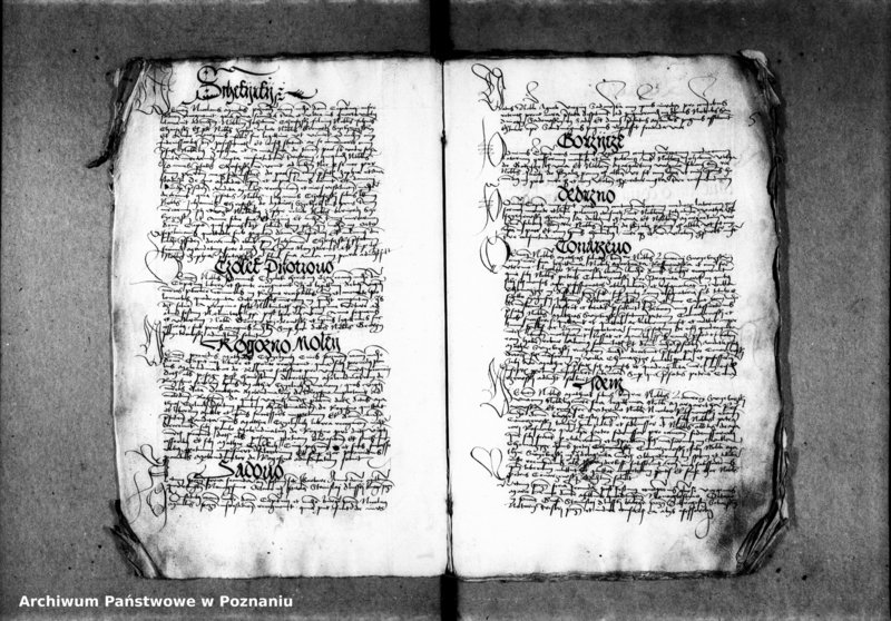 Obraz 10 z jednostki "Inscriptiones, relationes, decreta [inducta]"