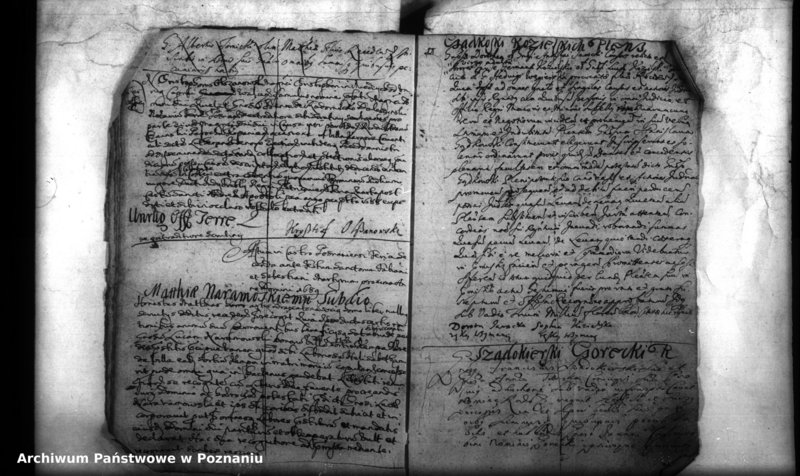 Obraz 15 z jednostki "Inscriptiones, resignationes [protocollon]"