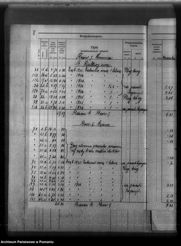 Obraz 12 z jednostki "Plan cięć lasu majętności Łomnica powiat nowotomyski"