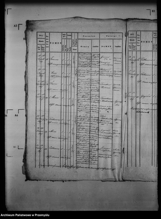 Obraz 18 z jednostki "[Kopie ksiąg metrykalnych parafii Mołoszkowice z filią Leśniowice (dekanat Jaworów)]"