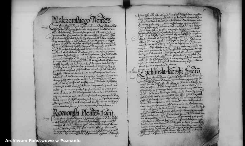 Obraz 9 z jednostki "Inscriptiones [inducta]"