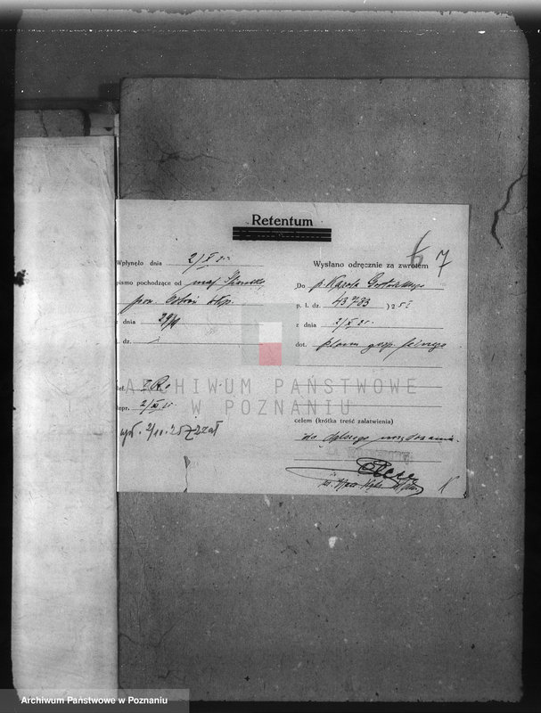 Obraz 11 z jednostki "Nadzór nad gospodarką w lasach majętności Śliwniki powiat ostrowski"