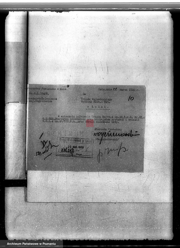 Obraz 14 z jednostki "Sprawa wyłączenia obszarów leśnych z majątku Bogusławice powiatu kolskiego"