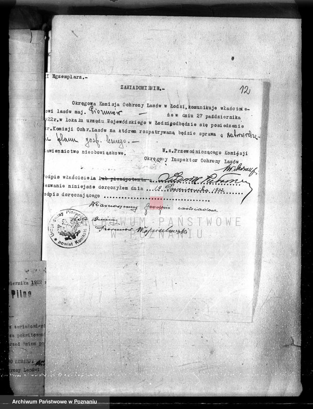 Obraz 16 z jednostki "Sprawa zmiany rodzaju użytkowania w związku z parcelacją powiat 19,5 ha gruntów leśnych w majątku Piorunów powiat koniński"