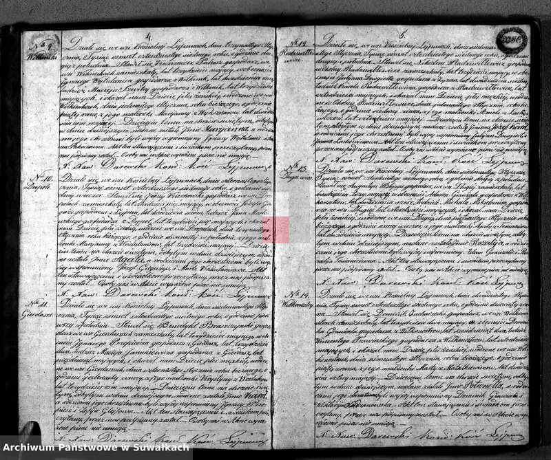 image.from.unit.number "Księga Duplikat Aktów Urodzonych, Zaślubionych i Umarłych w Parafij Leypuńskiey za Rok 1847"