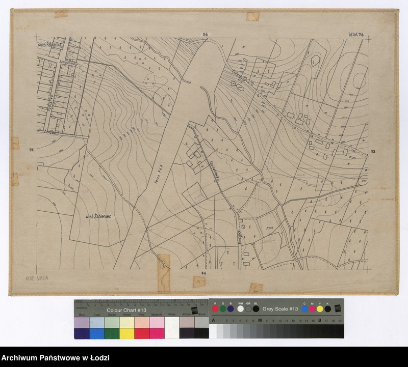 Obraz 1 z jednostki "Mapa sytuacyjno-wysokościowa Łodzi sekcja NW74 - ul.: Pabianka, Samopomocy, Żeńców, Liściasta, Szpinakowa, Brukowa"
