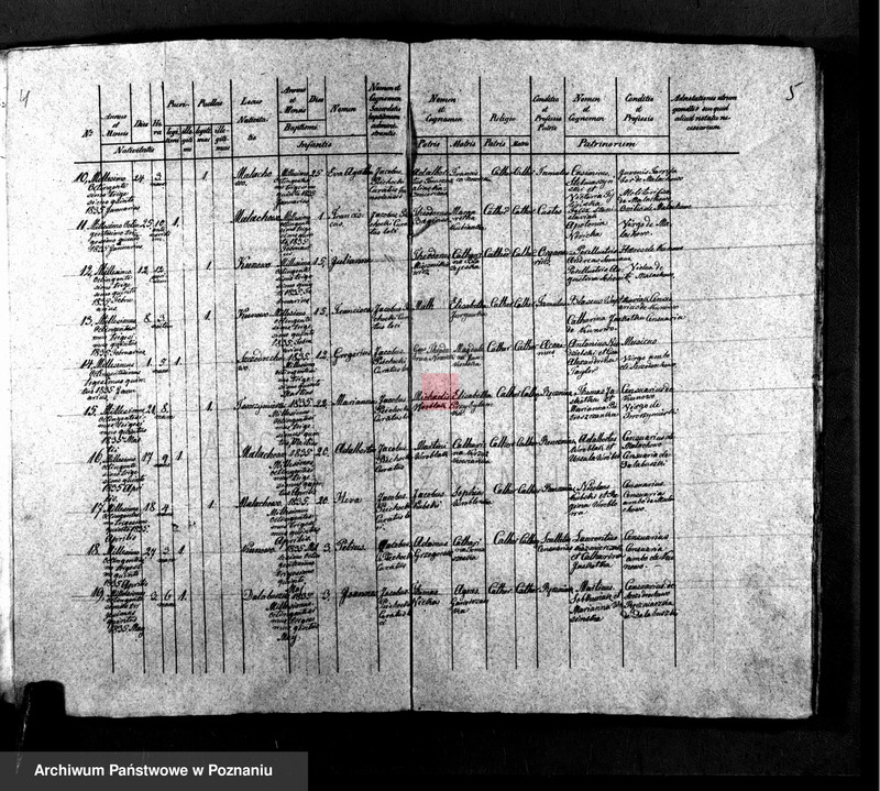 Obraz 4 z jednostki "Liber baptisatorum, copulatorum, mortuorum"