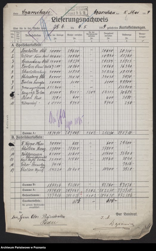 Obraz 6 z jednostki "[Odstawa ziemniaków z terenu powiatów Czarnków-Krotoszyn]"