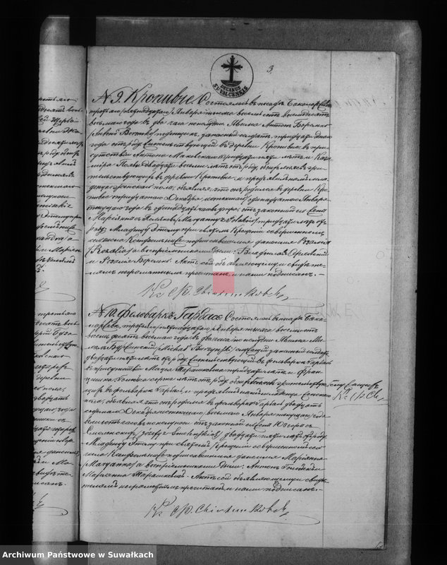 Obraz 9 z jednostki "Duplikat Bakalarževskogo Rim. Kat. prichoda Uroždennych, Brakosočetavšich i Umeršich s 1888 g."