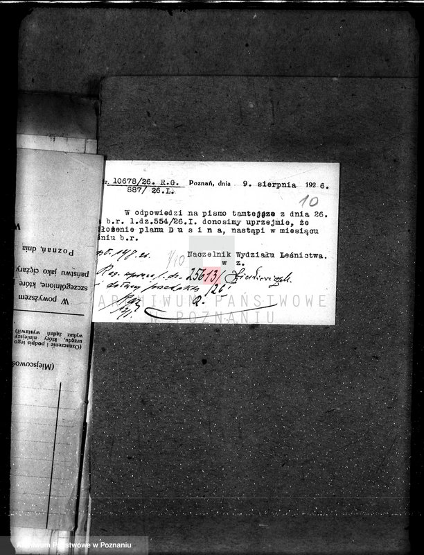 Obraz 14 z jednostki "Nadzór nad gospodarką w lasach majątku Dusina w powiecie gostyńskim"