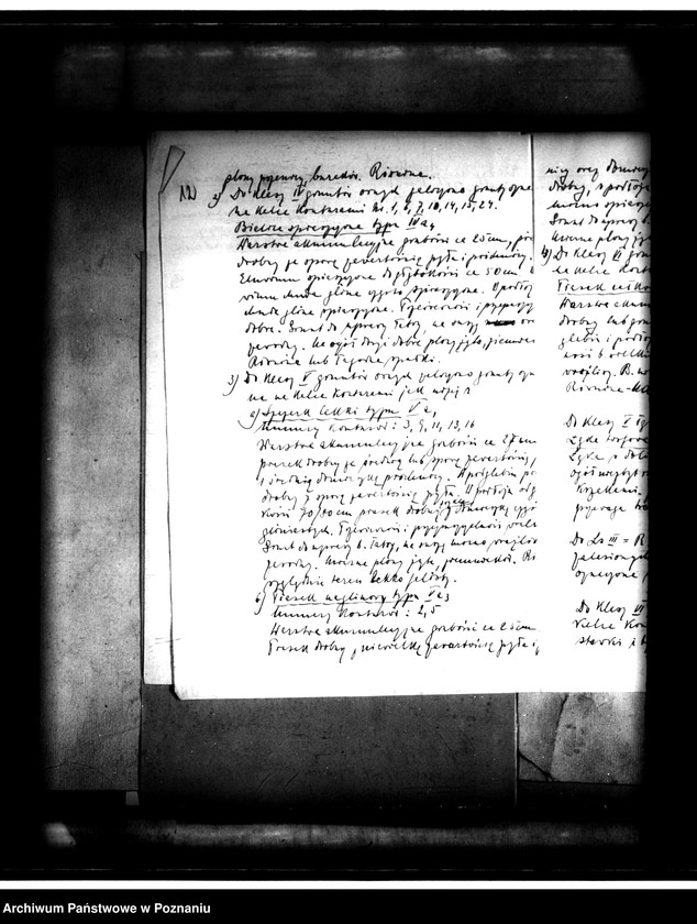 Obraz 16 z jednostki "Operat szacunkowy majątku Strzeszyn powiatu poznańskiego"