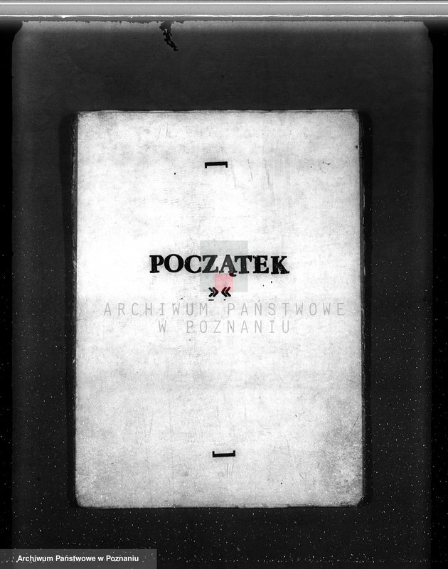 Obraz 3 z jednostki "Majętność /leśna/ Olesiec-Chocz powiat koniński"