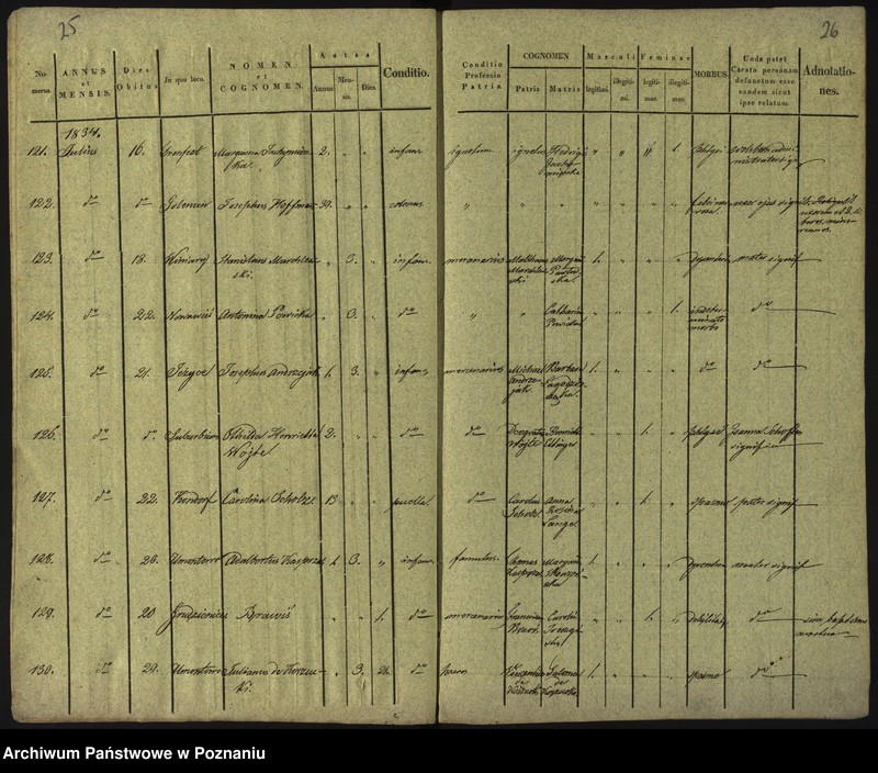 Obraz 16 z jednostki "Księga zgonów"