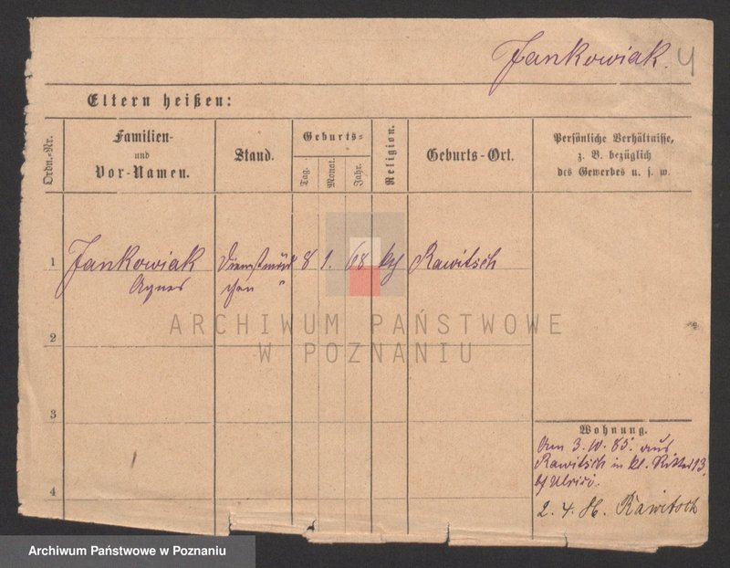 Obraz 4 z jednostki "Jankowiak (samotne kobiety)"