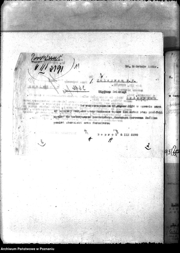 Obraz 15 z jednostki "Zaraza płucna - Oborniki"