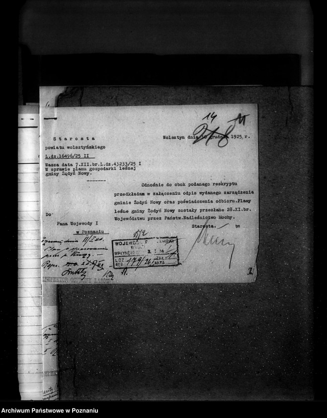 Obraz 18 z jednostki "Las gromady Żodyń Nowy powiat wolsztyński"