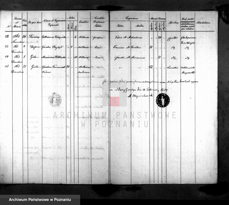 Obraz 5 z jednostki "Liber mortuorum"