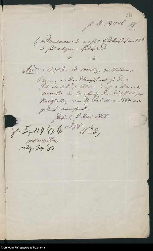 Obraz 19 z jednostki "A. betr. Josef von Daniszewski, Gutsbesitzer"