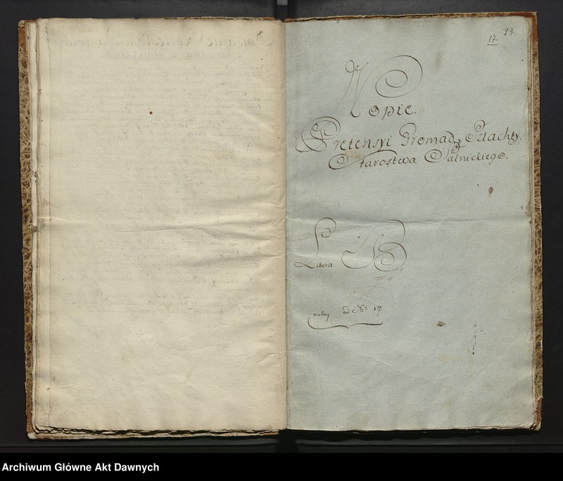 image.from.unit.number ""Lustracya Dobr Krolewskich Starostwa Salnickiego (...)""