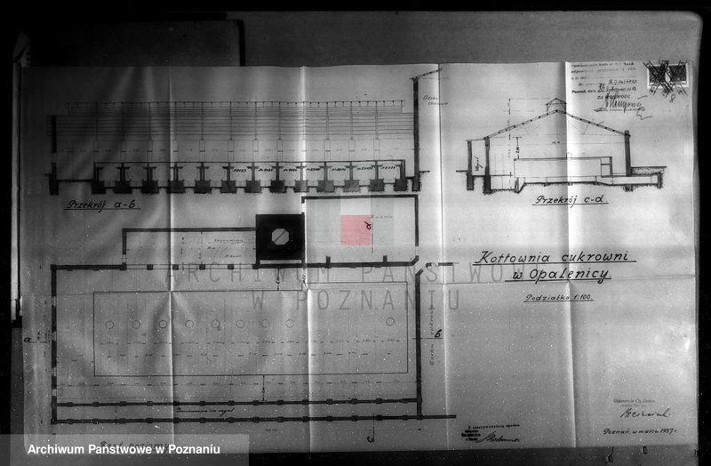 Obraz 13 z jednostki "Cukrownia Opalenica, nr woj. 6833"
