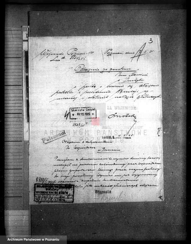 Obraz 7 z jednostki "Majętność /leśna/ Wilkowo Polskie powiat kościański"