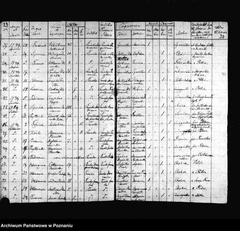 image.from.unit.number "Duplicat baptisatorum, copulatorum, mortuorum"