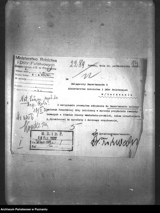 Obraz 18 z jednostki "Konie"