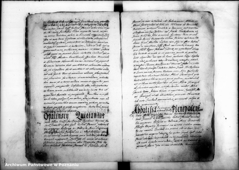 Obraz 11 z jednostki "Inscriptiones [inducta]"