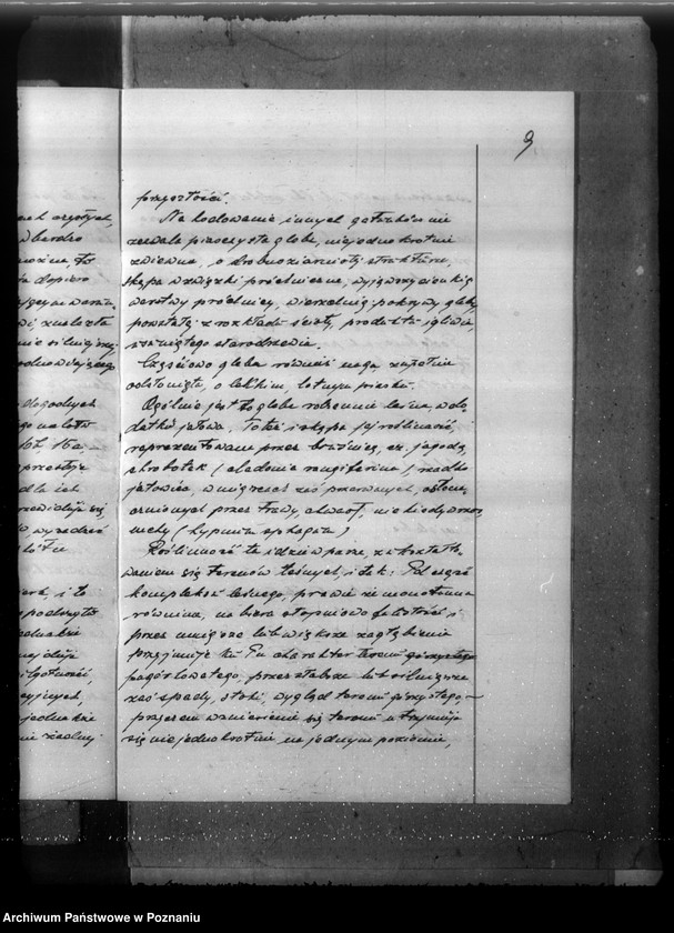 Obraz 13 z jednostki "Plan gospodarczy lasów majątku Stefanowo w powiecie nowotomyskim"