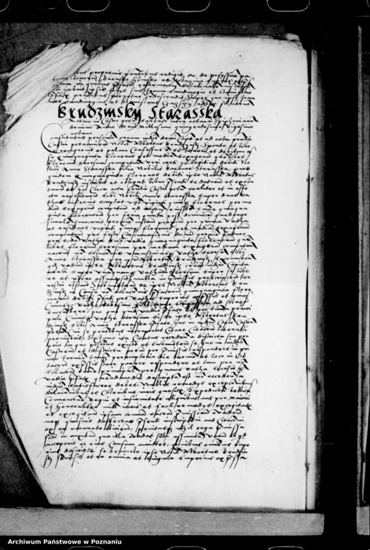 Obraz 16 z jednostki "Inscriptiones, relationes, decreta [inducta]"