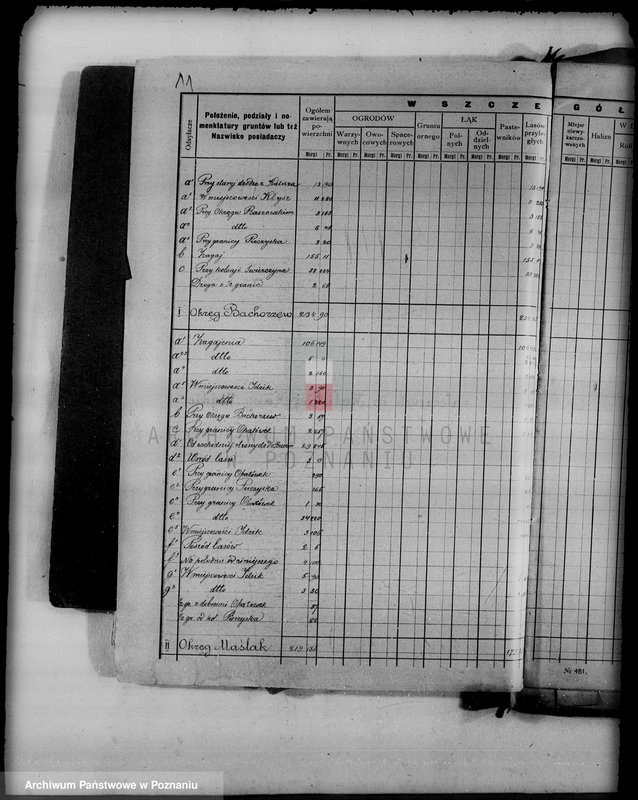 Obraz 16 z jednostki "/Las miasta Kalisza nadzór nad gospodarką/"