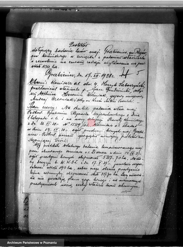 Obraz 9 z jednostki "Majątek Grabienice powiat koniński /nadzór nad gospodarką leśną/"