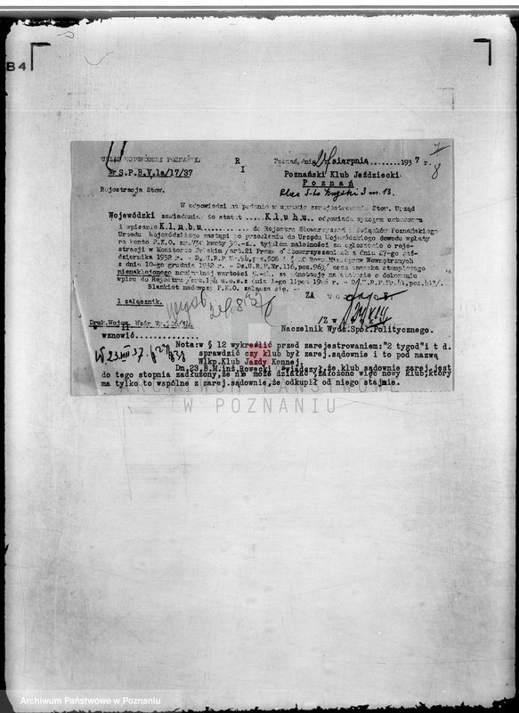 Obraz 12 z jednostki "/Poznański Klub Jeździecki w Poznaniu/"