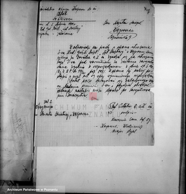 Obraz 11 z jednostki "Towarzystwo Hodowców Gołębi Pocztowych,,Lot Pocztowy" w Wągrowcu"