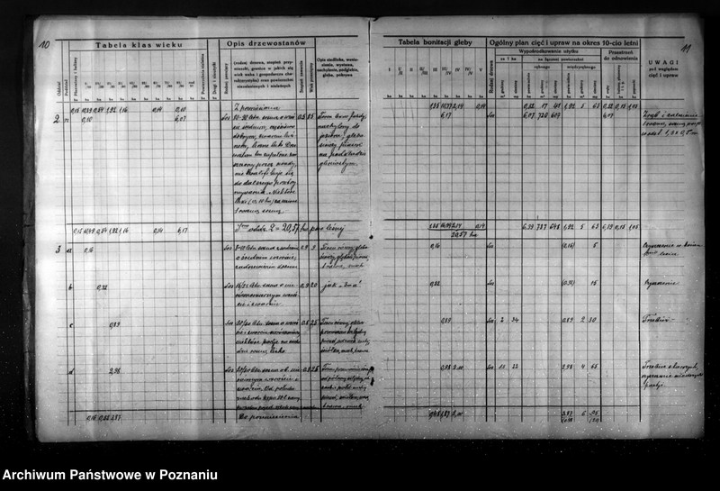 Obraz 10 z jednostki "Plan gospodarstwa leśnego dla lasu Jaegera Waltera gmina Zatom Nowy powiat międzychodzki 1933-1944"