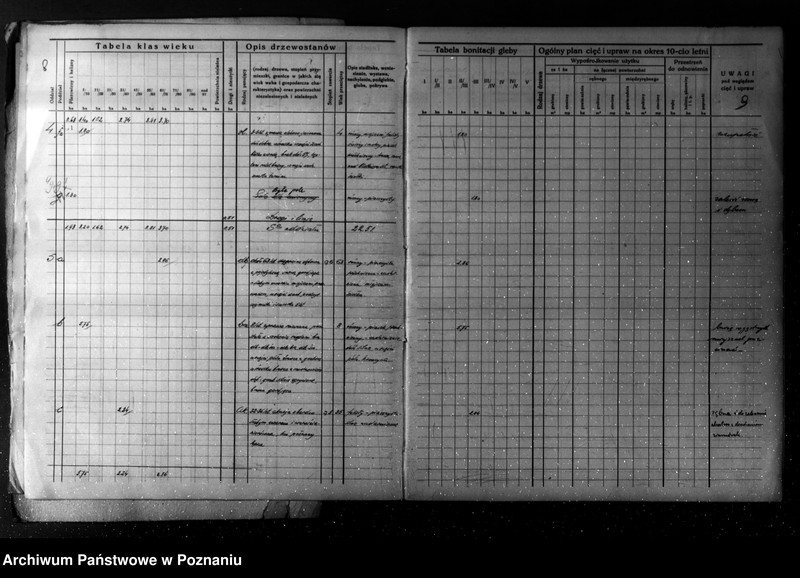 Obraz 9 z jednostki "/Plan urządzania gospodarstwa leśnego dla lasu majątku Turew powiatu kościańskiego 1933-1943/"