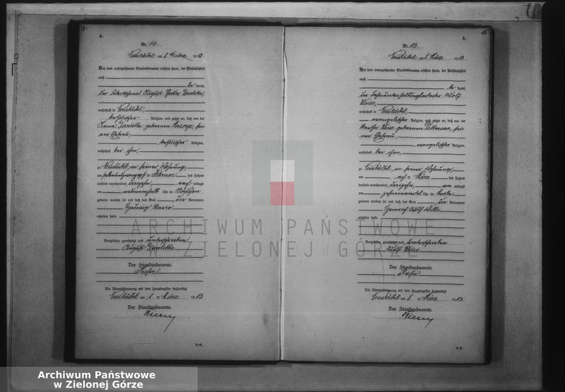 image.from.unit.number "Geburts-Haupt-Register 1913 vol. I No. 1 bis 83"