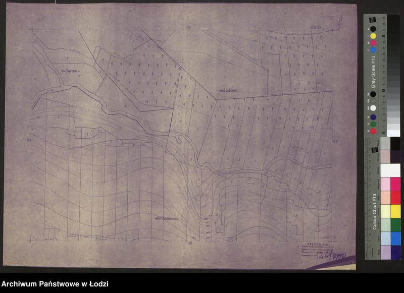 Obraz 1 z jednostki "Plan miasta Łodzi. Sekcja SW 85"