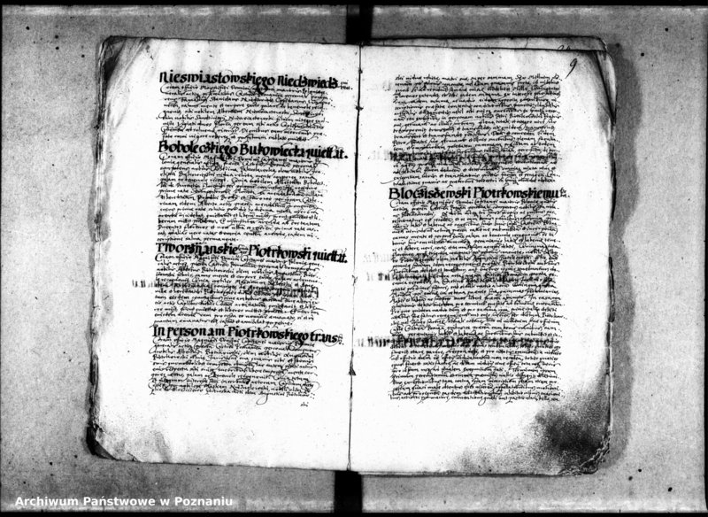 Obraz 11 z jednostki "Inscriptiones [inducta]"